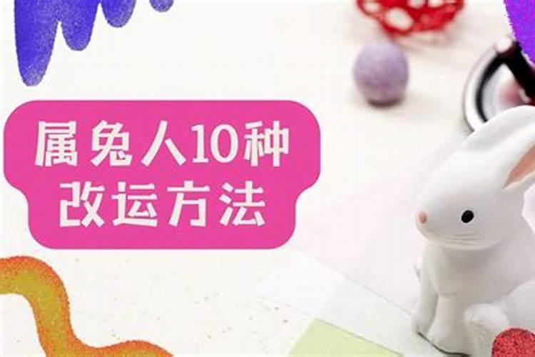 属兔运气不好怎么转运？