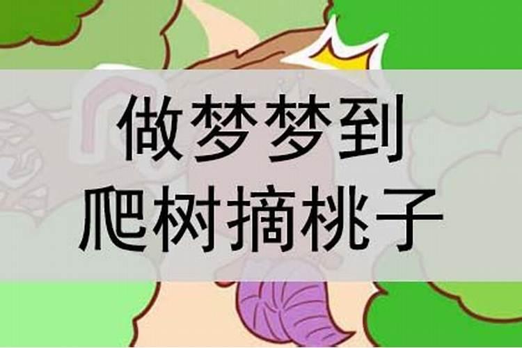 做梦梦到摘桃子是什么意思？