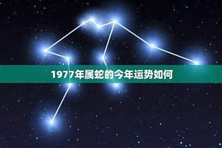 1977年12月属蛇女运程如何？-易用国学