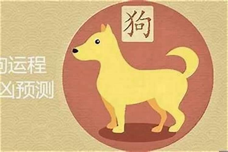属狗的今年的运势怎么样？-易用国学