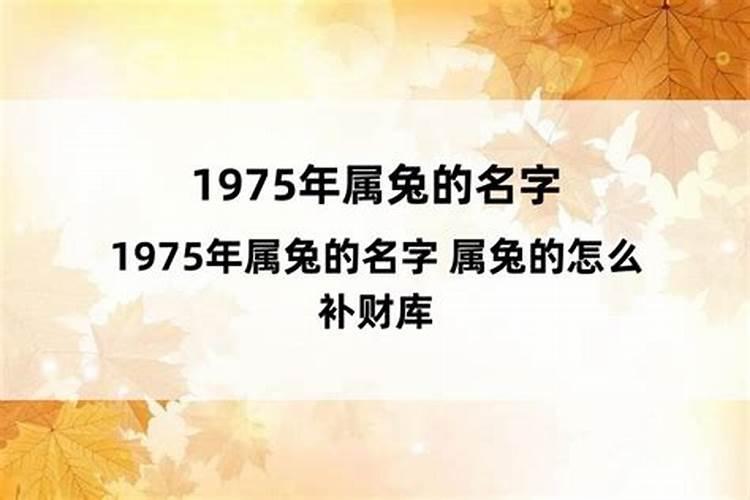 属兔的怎么补财库？