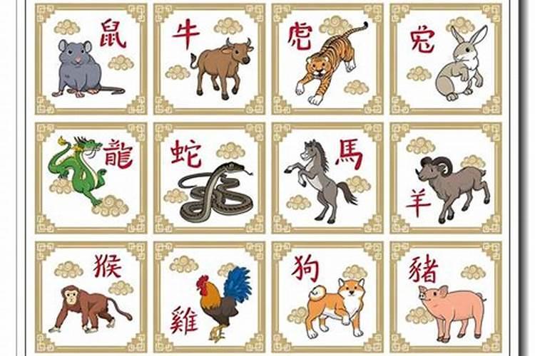 十二生肖是什么号码？