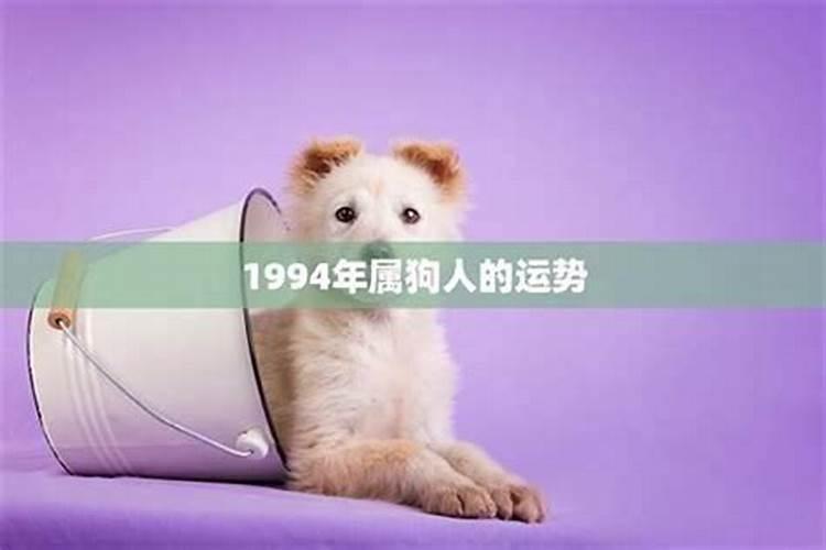 94年的狗2025年的运势