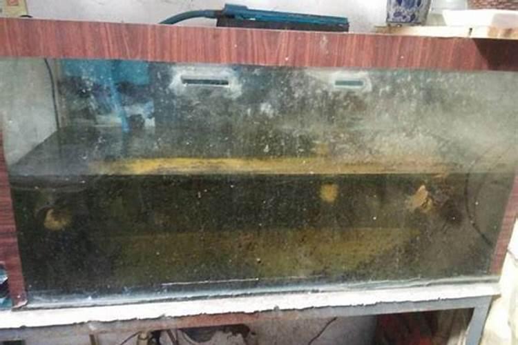 鱼缸破了是什么征兆？