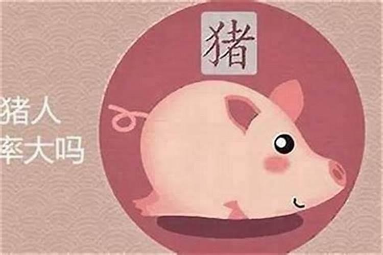 属猪人今年的运程-易用国学