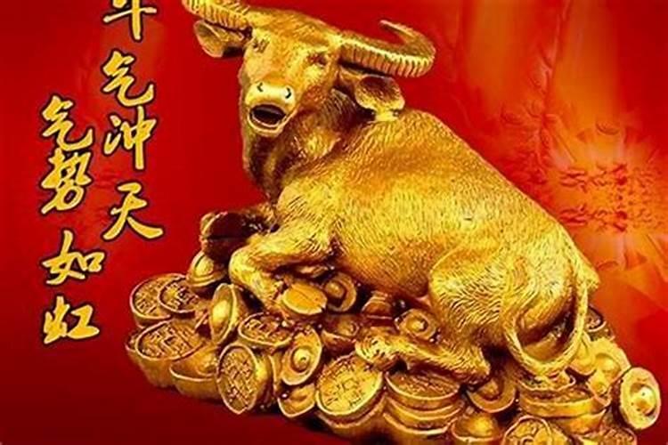 本命年能结婚么属牛？