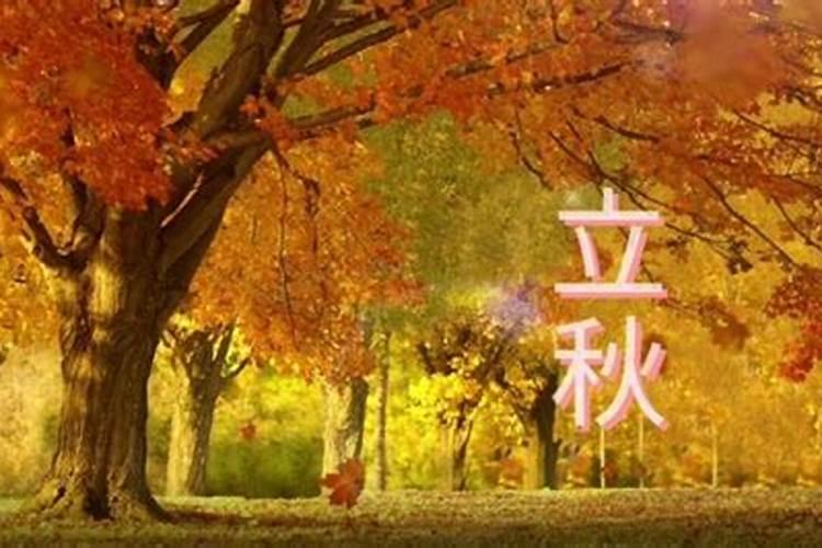 7日什么时候立秋？