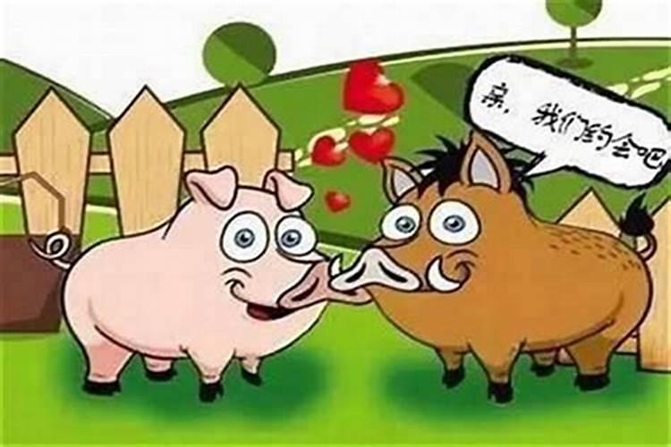 女属鸡男属猪合婚吗？
