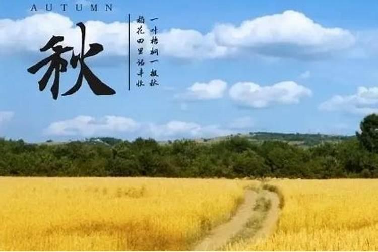 2025年什么时候真正立秋？