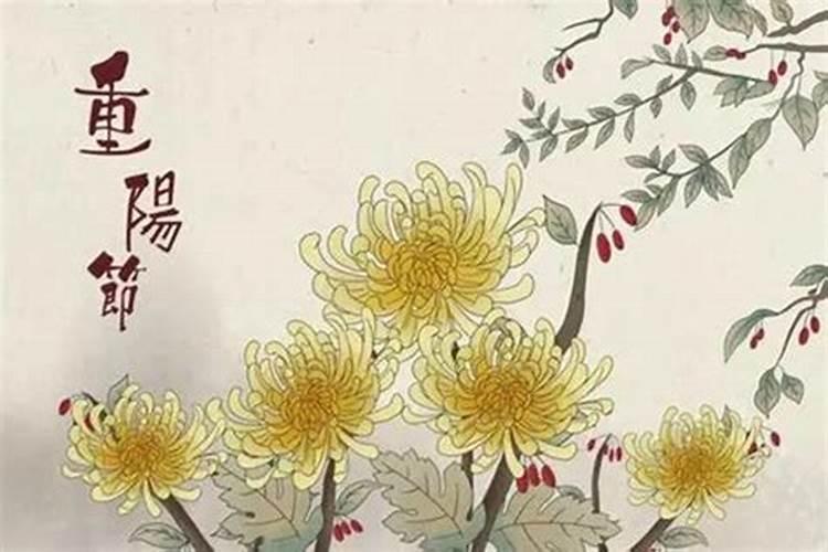 请问重阳节有哪些活动？
