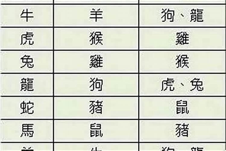 属马女和属猪男合婚吗？