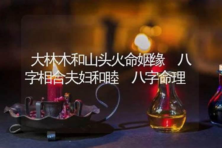 山头火命大林木命八字合属相不合