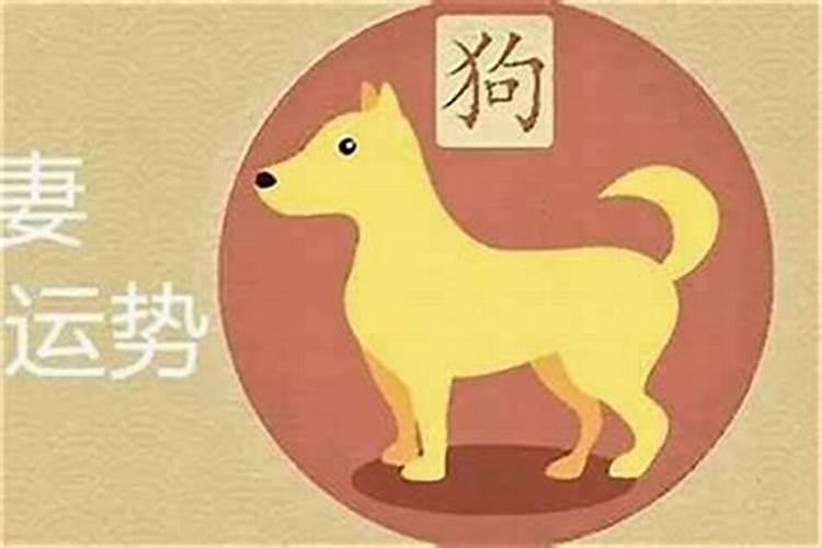 属狗女婚配什么属相男最好？