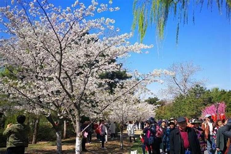 北京清明节去哪里玩比较好山区？