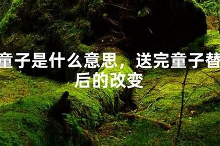 送替身什么意思？