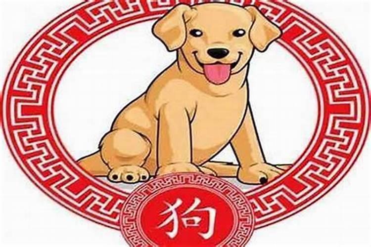 属狗的今年多大2025年？