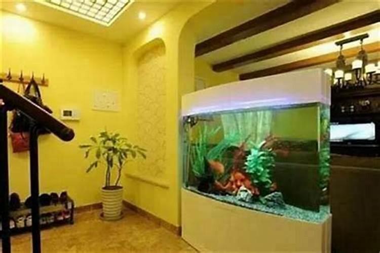 入户门正对鱼缸风水