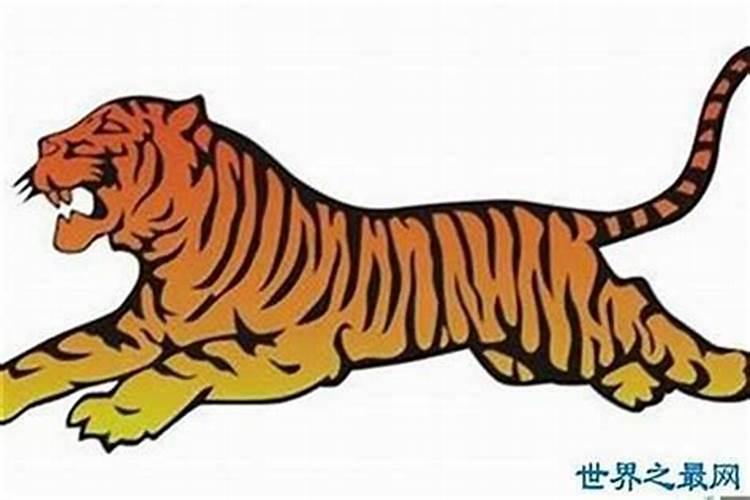 属猪在虎年是什么太岁？