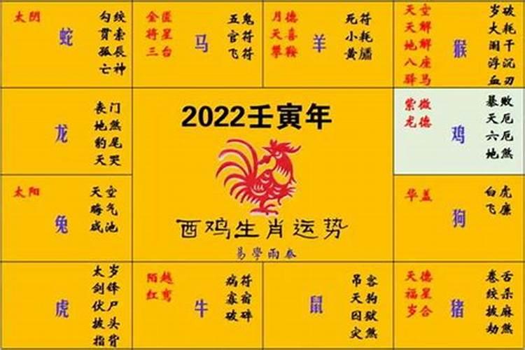 2025年6月5号各属相运势如何？