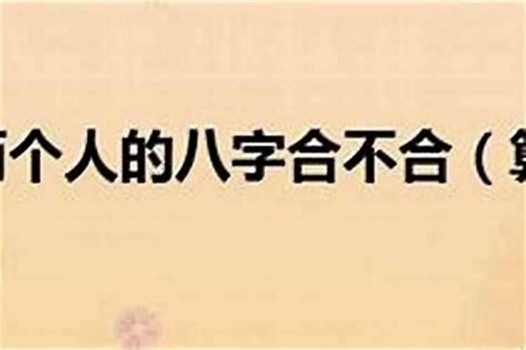 算公司与自己的八字合不合
