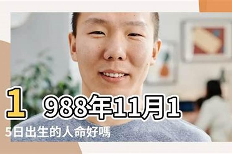 1988年冬至日出生