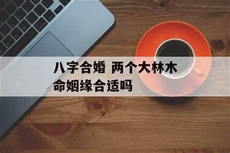 大海水和大林木合婚吗？