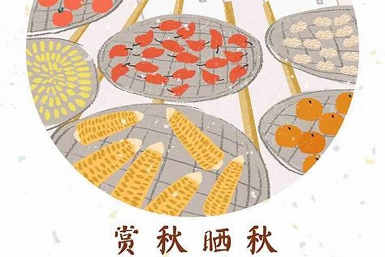 重阳节的习俗比较