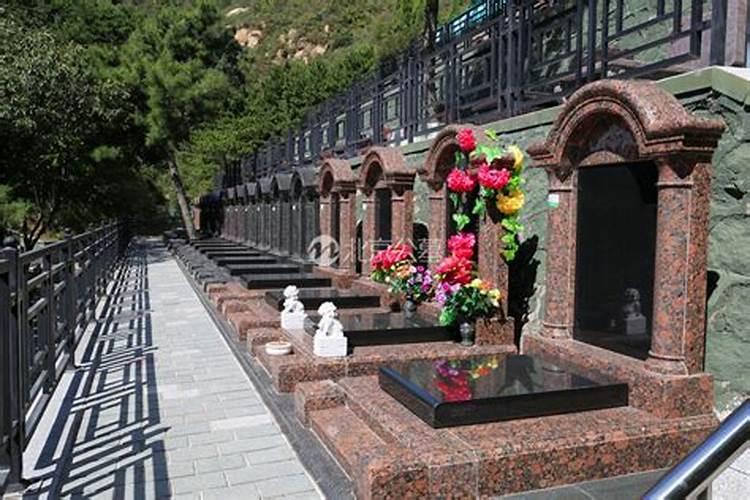 梦到自己家里边有墓地