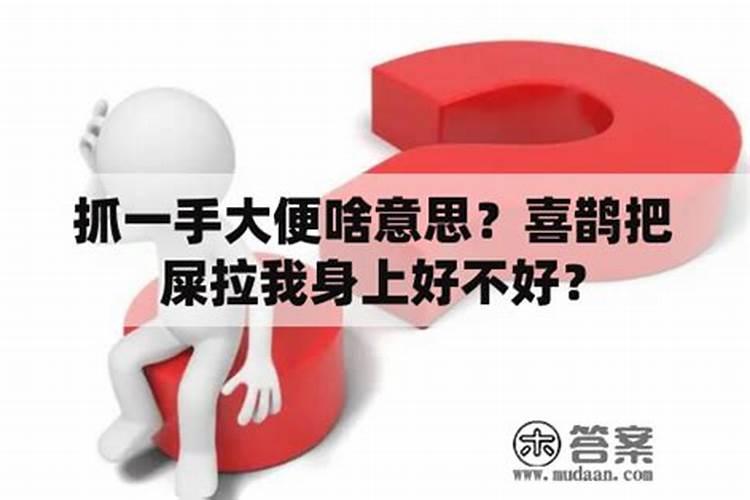 梦到抓一手屎好不好？