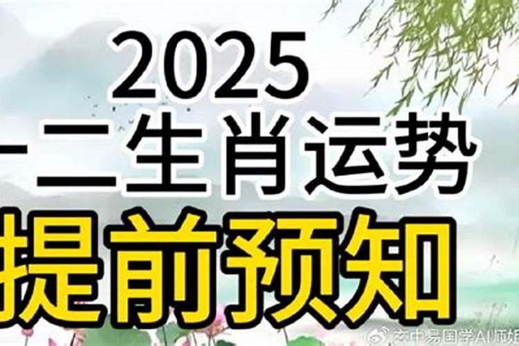 生命数1的2025年运势