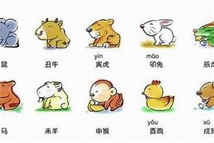 属兔属兔婚配什么属相最好？