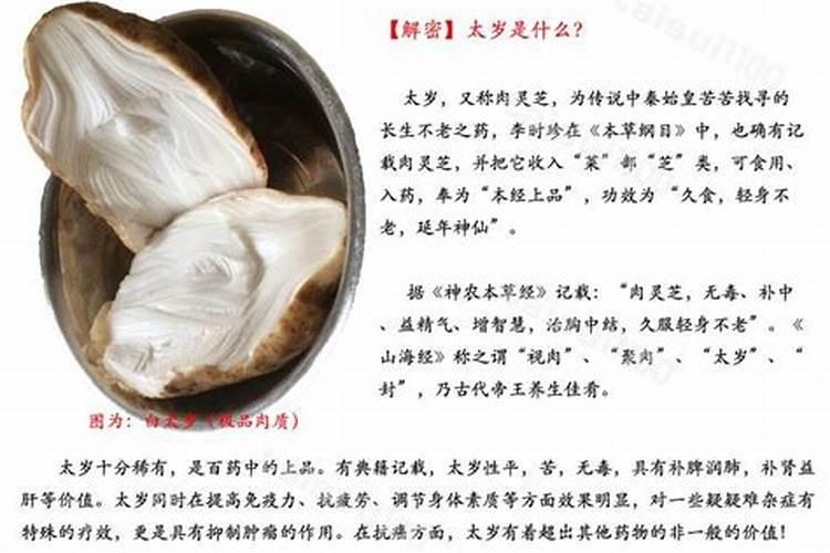 太岁物品是什么东西？