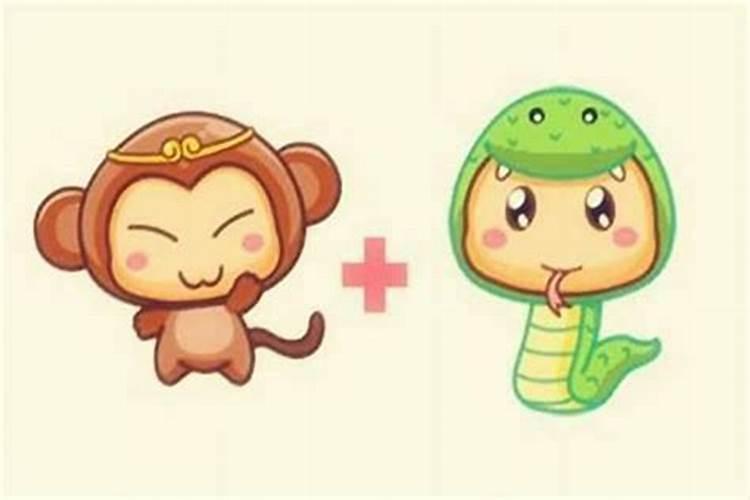 蛇男女猴八字合不合
