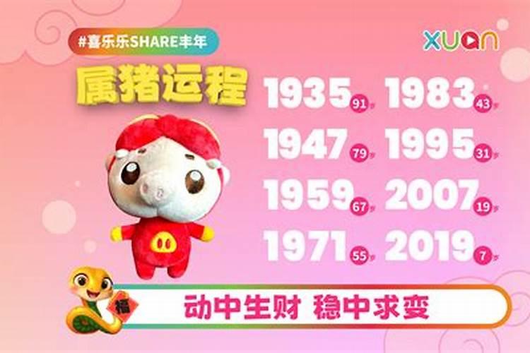 属猪人士2025年运程