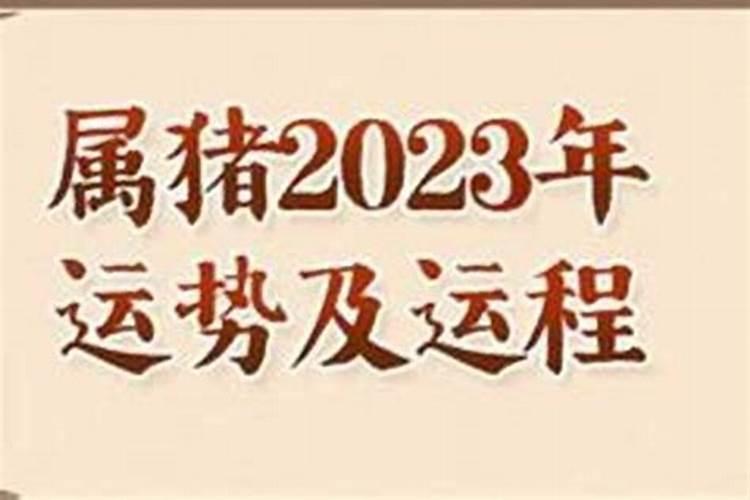 猪在2025四到十二月运程好吗？