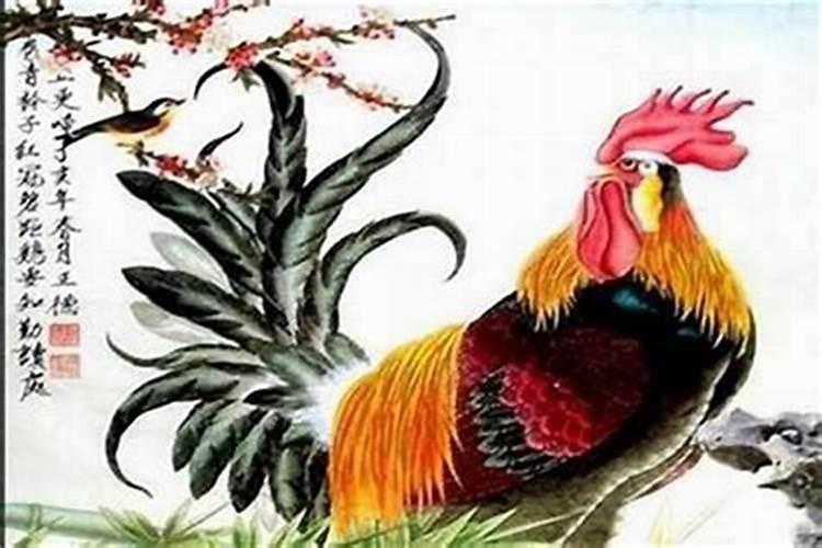 男鸡女牛生辰八字合吗？
