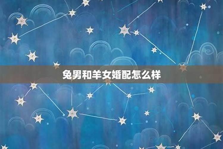 男属兔和女属羊的合婚吗？
