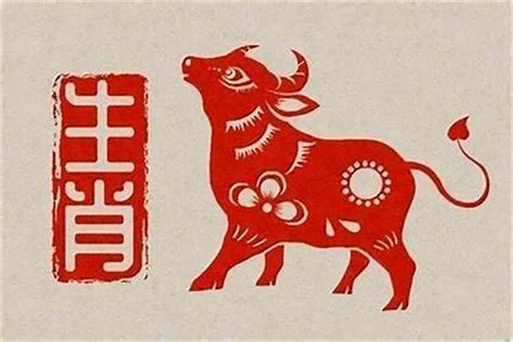 本命年运气如何属牛1997？