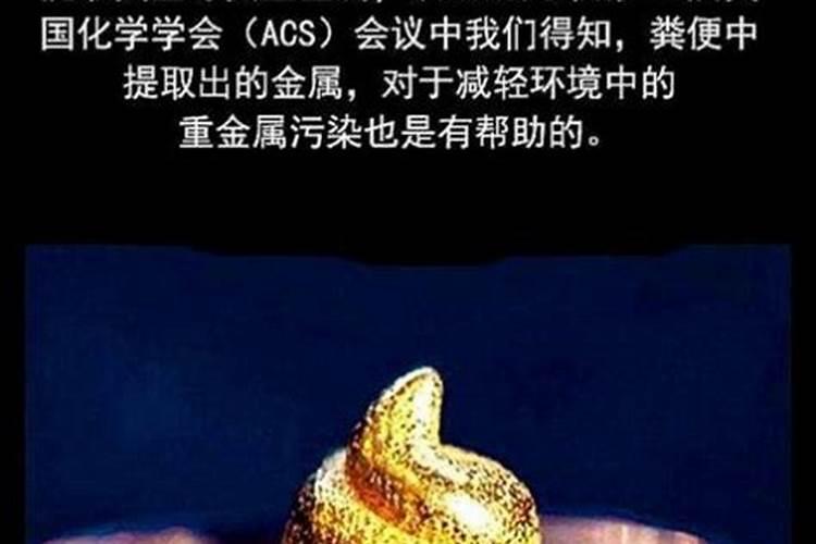 梦到大便是什么预兆？