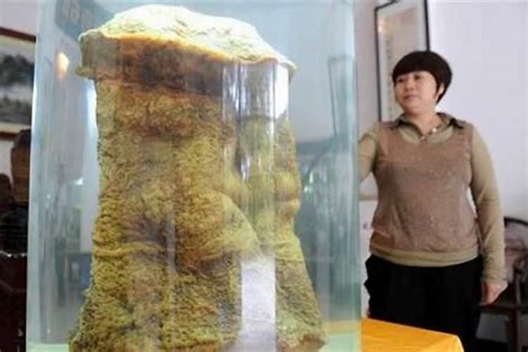太岁一般生长在什么地方？