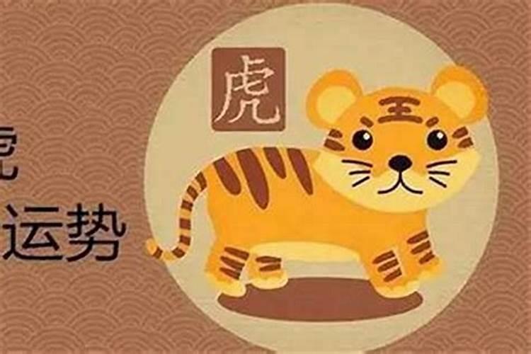 本命年可以结婚吗属猪和属虎？