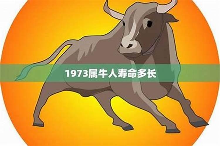 1973年属牛2025的运势如何？