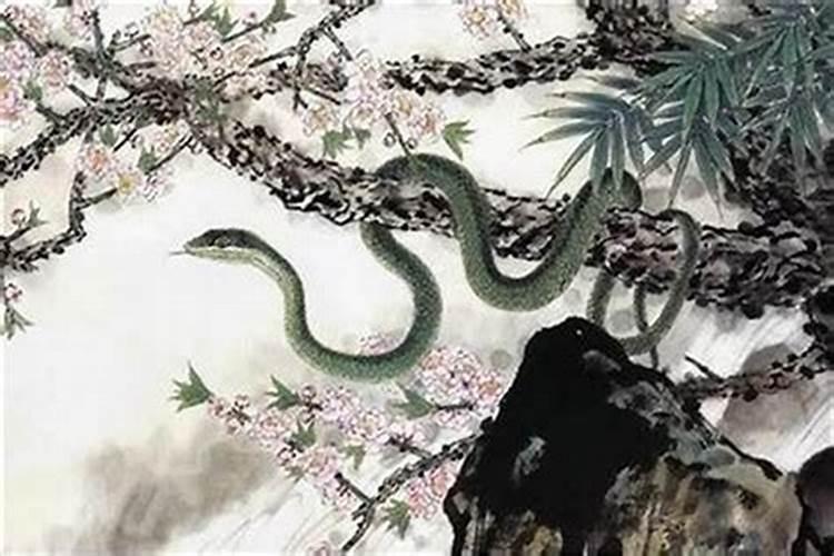 童子命属蛇适合干什么？