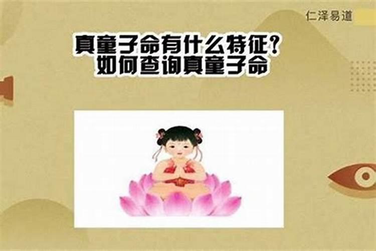 真童子命能过好一生吗？