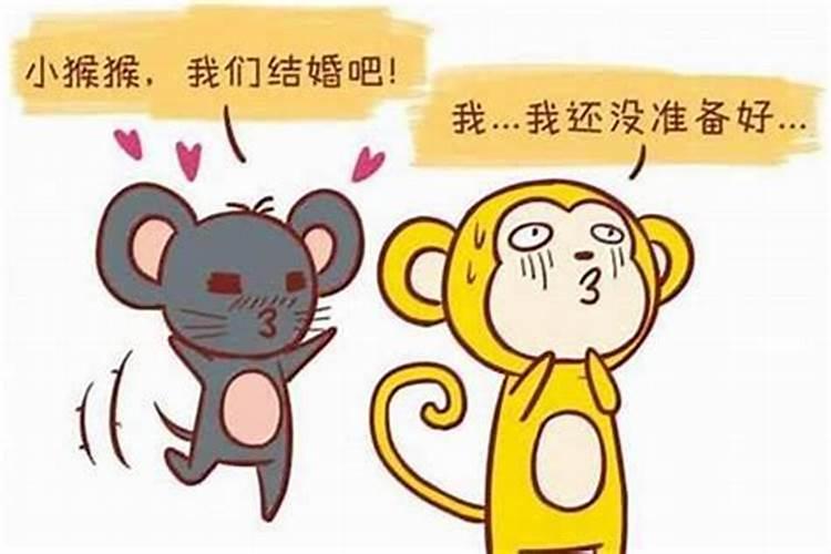 男属鼠和女属猪合婚吗？