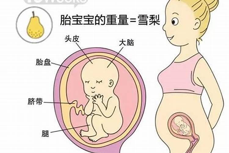 胎儿多大开始有灵魂？