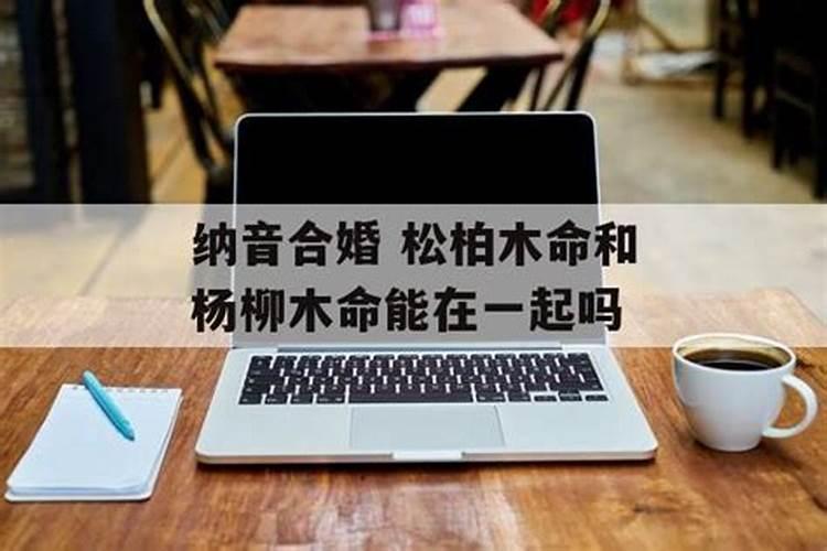 阴木和阳木能合婚吗？