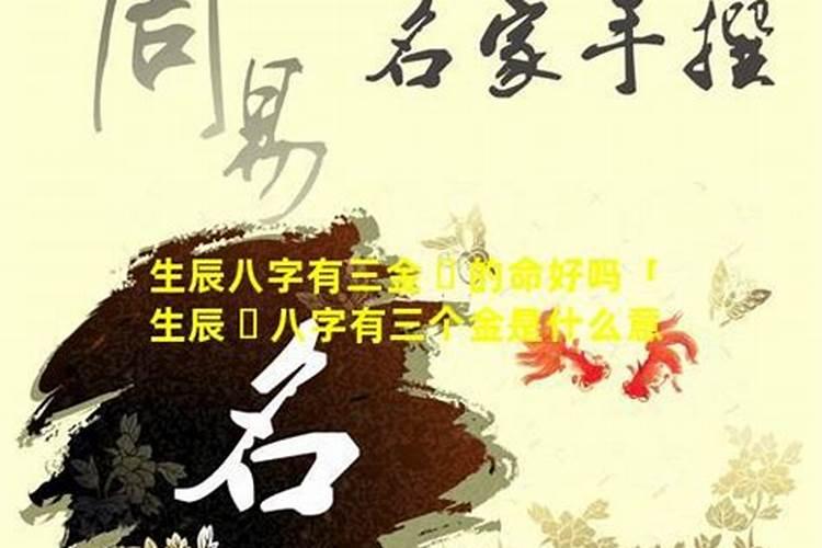生辰八字有三金好吗？
