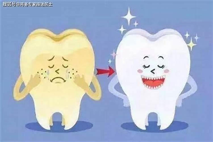 梦到牙齿掉了两个是什么预兆？