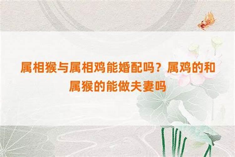 丑时和未时能合婚吗？
